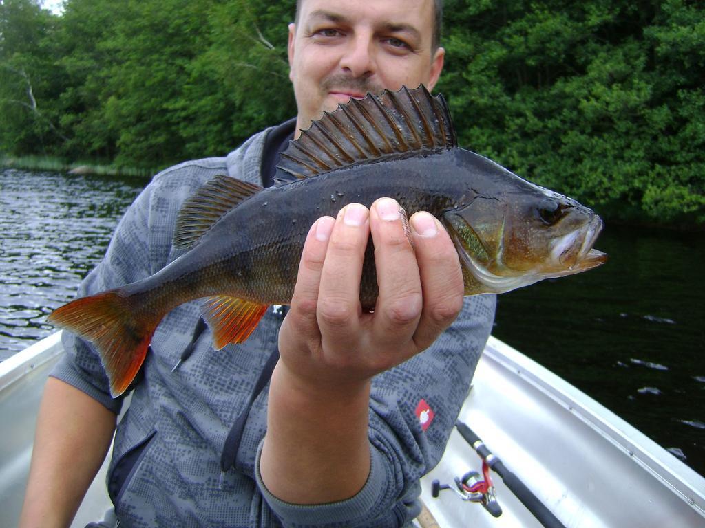Wismens Natur & Fiske Krogsered Bagian luar foto