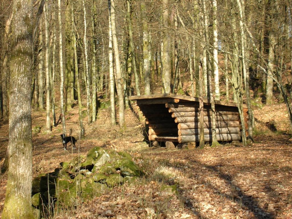 Wismens Natur & Fiske Krogsered Bagian luar foto