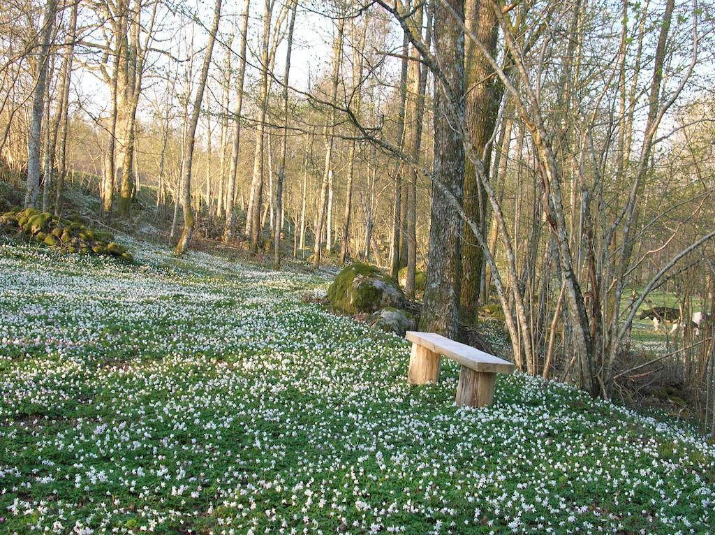 Wismens Natur & Fiske Krogsered Bagian luar foto