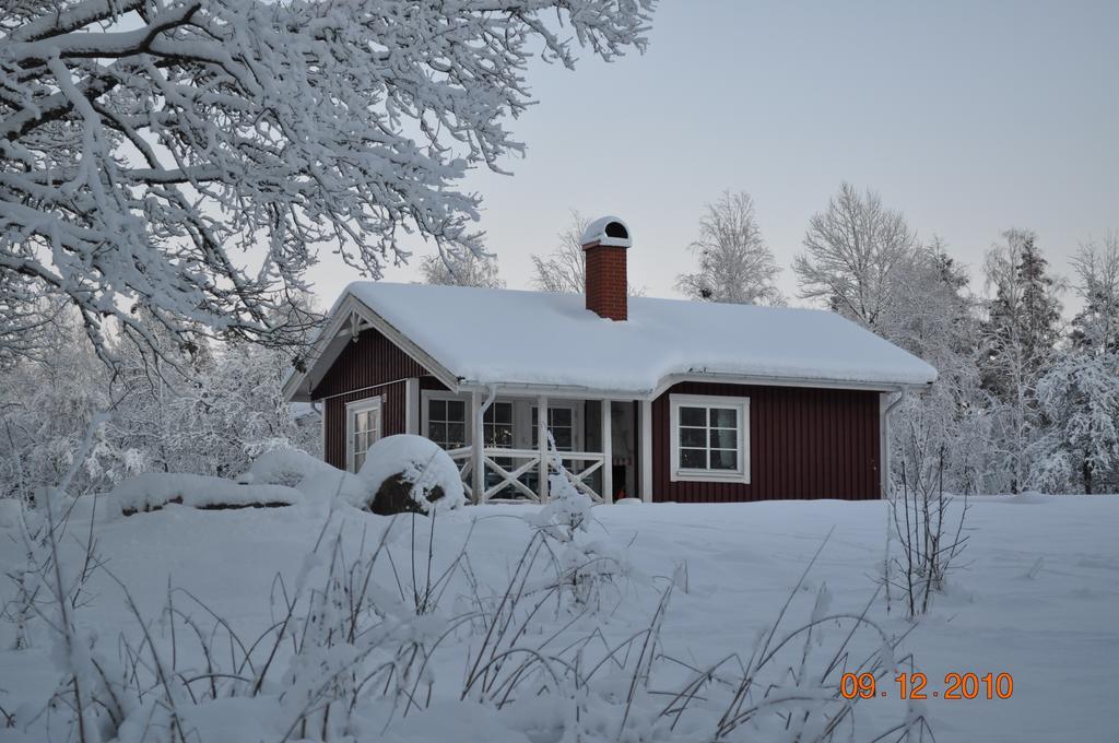 Wismens Natur & Fiske Krogsered Ruang foto
