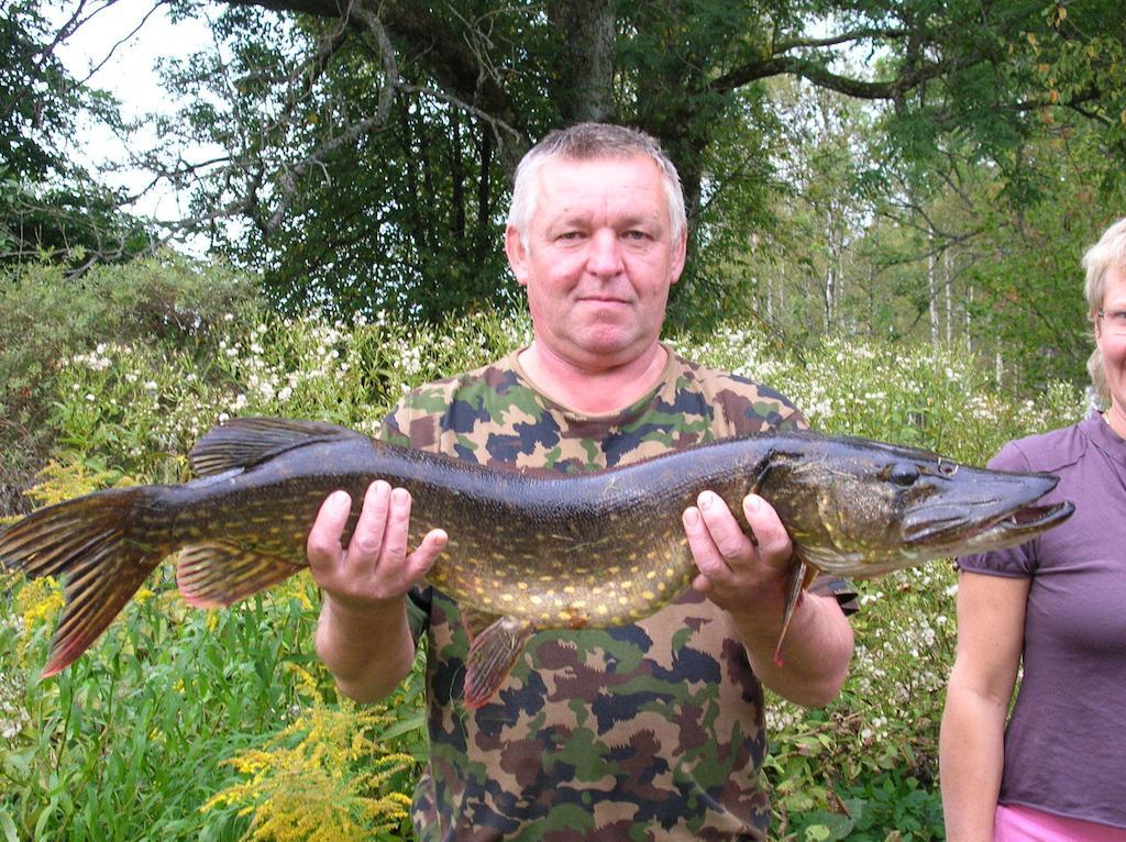 Wismens Natur & Fiske Krogsered Bagian luar foto