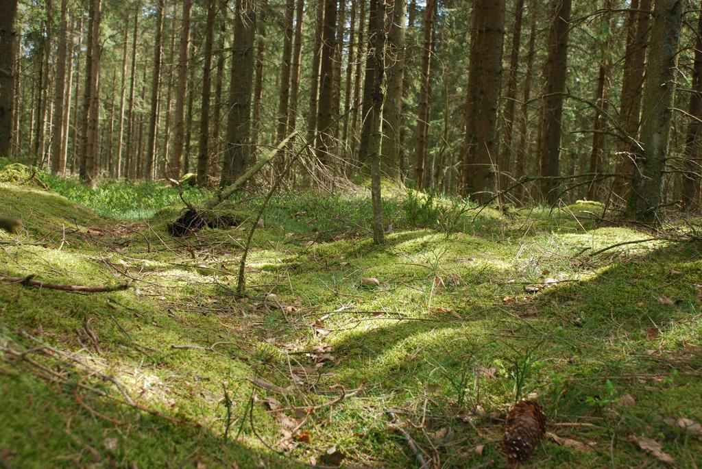 Wismens Natur & Fiske Krogsered Bagian luar foto
